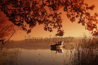 limnes-views